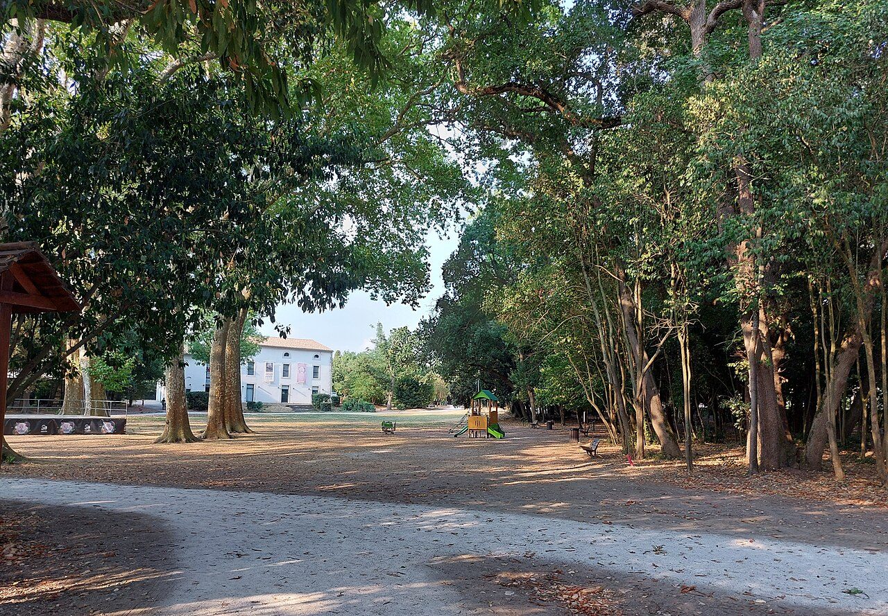 Parc des Essarts à Bron