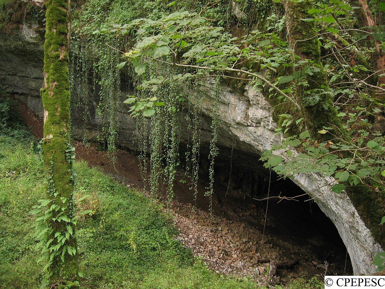 Grotte de la Baume Noire à Fretigney-et-Velloreille