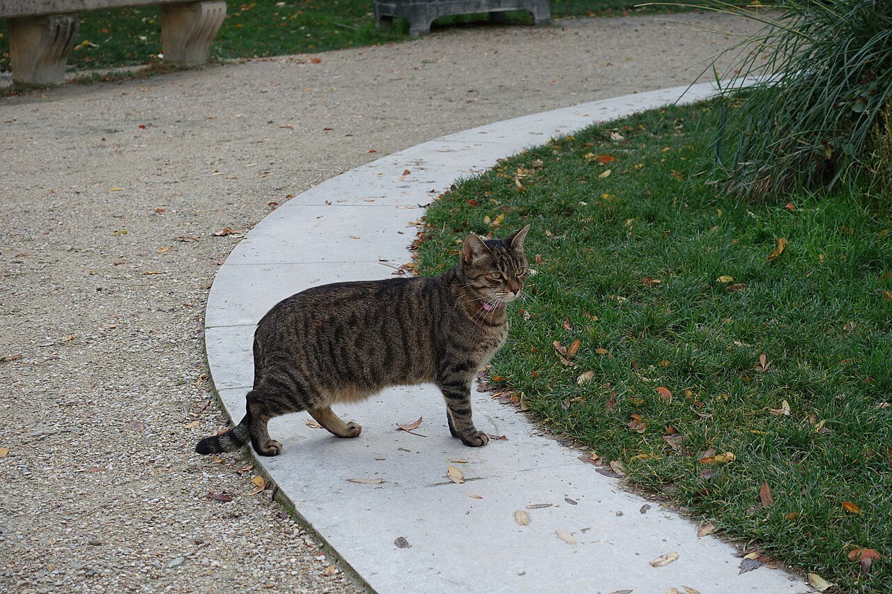 Jardin Anne Frank à Paris