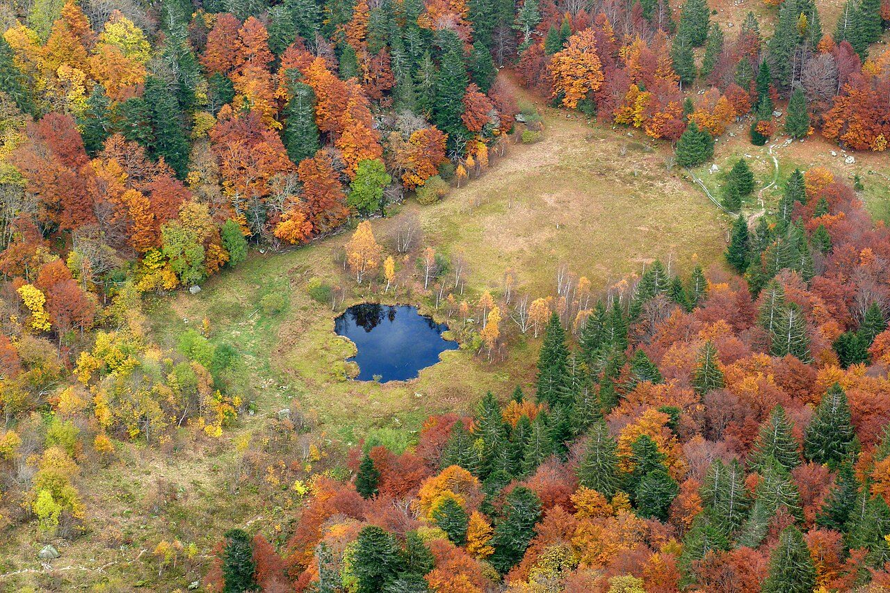 La réserve naturelle nationale du Frankenthal-Missheimle à Stosswihr