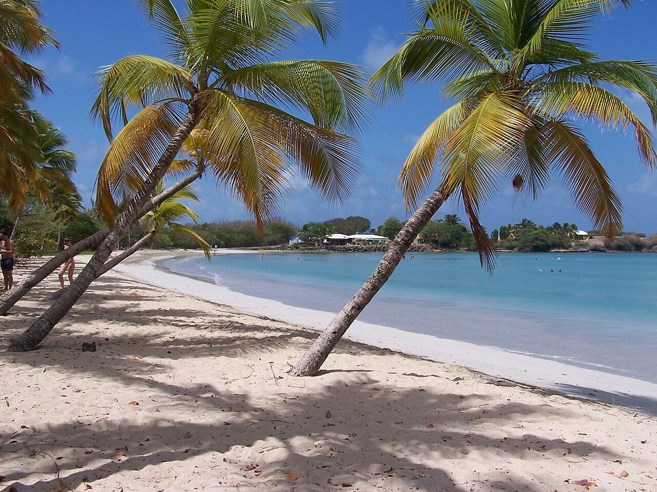 PLAGE DES SALINES à Sainte-Anne