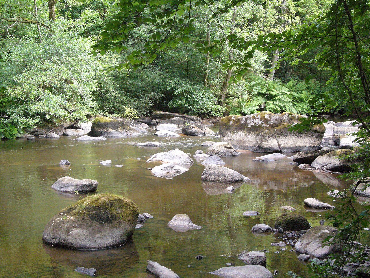 Site Corot