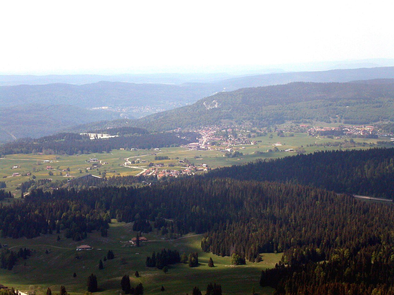 La forêt du Risoux