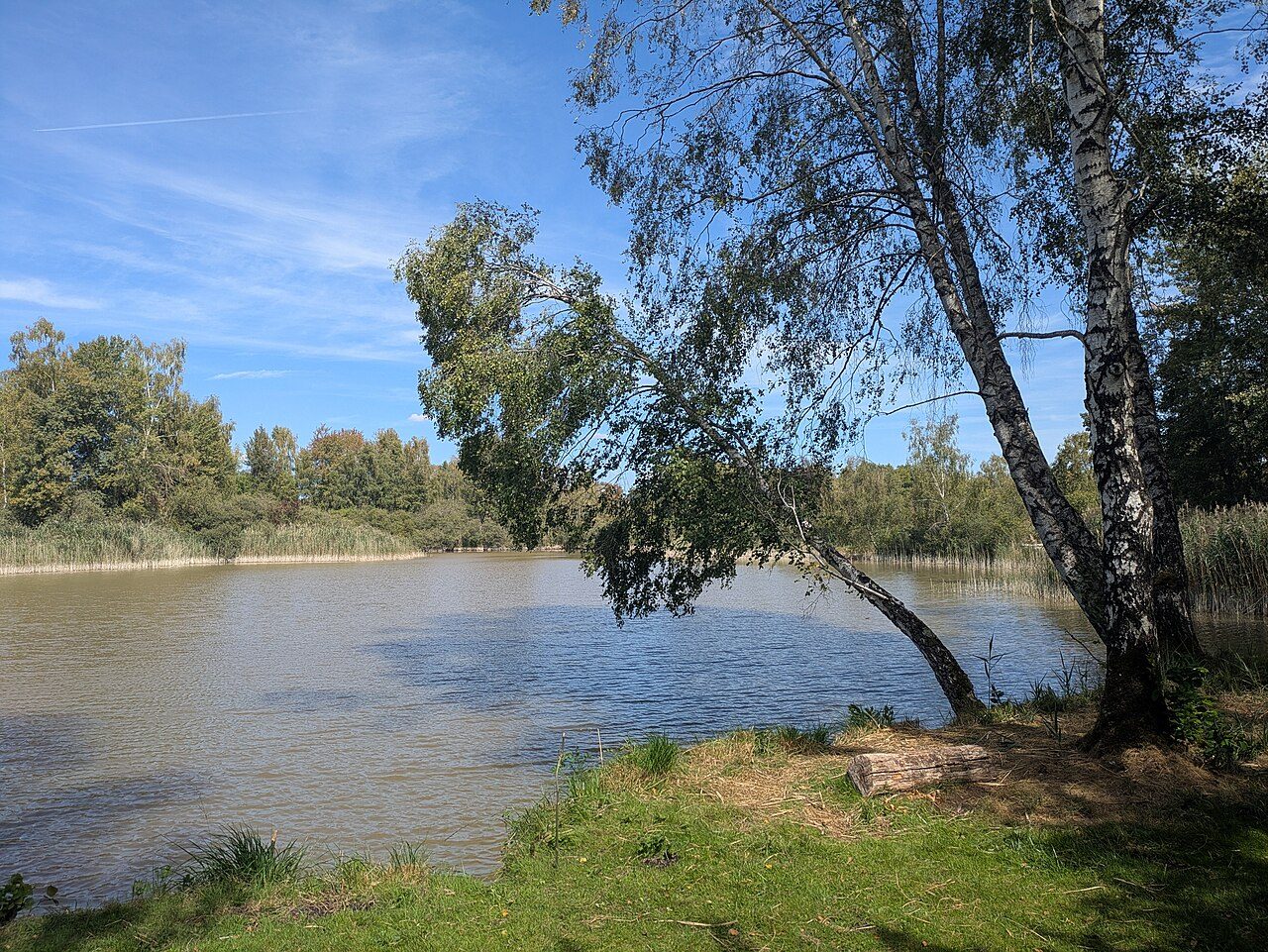 La Réserve Naturelle du Marais de Reuves