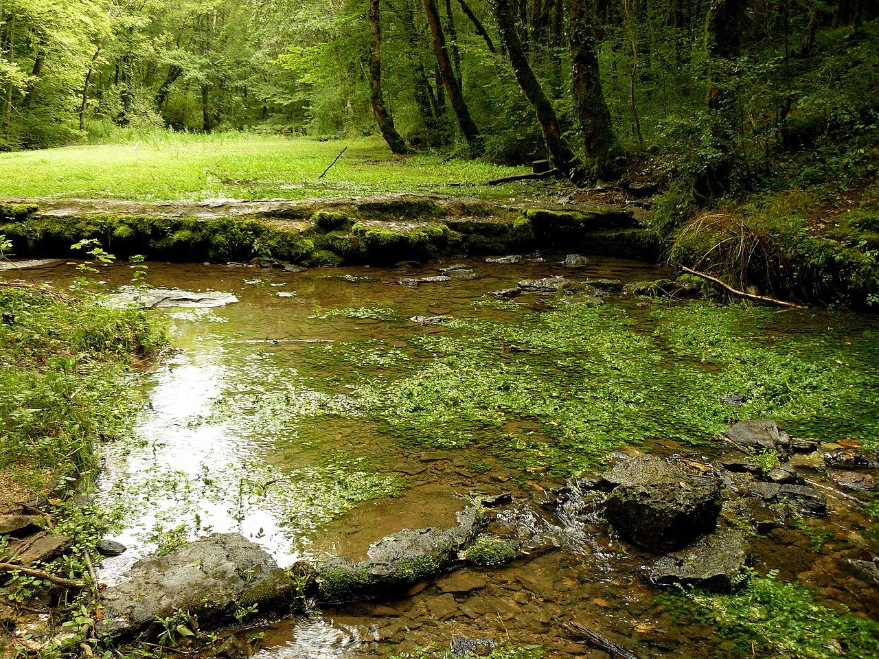 Lavoir couvert de Praslay