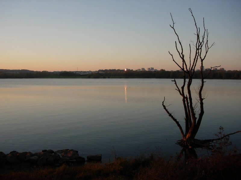 Baignade du Lac de Maine