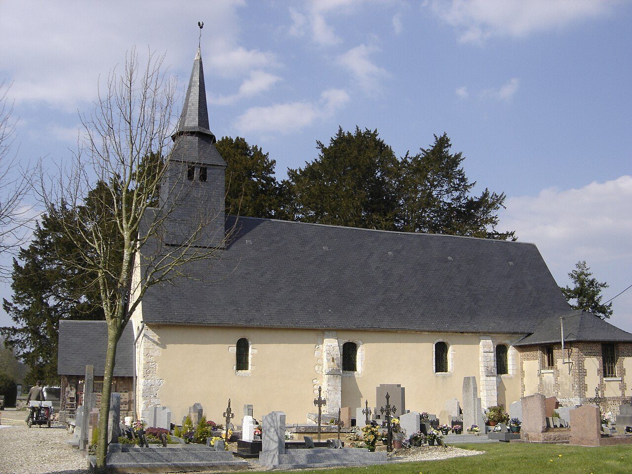 Ifs Millénaires à la Haye-de-Routot