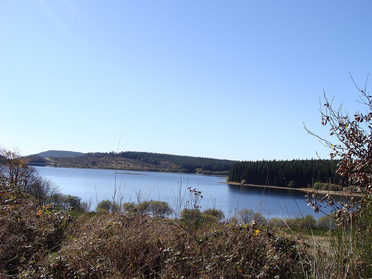 LAC DE VÉSOLES à Fraisse-sur-Agout