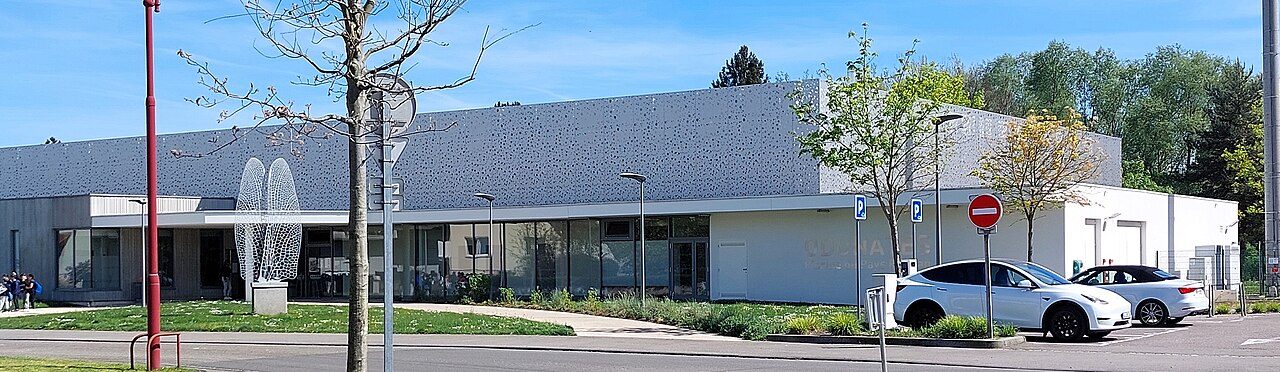 Piscine Odonates