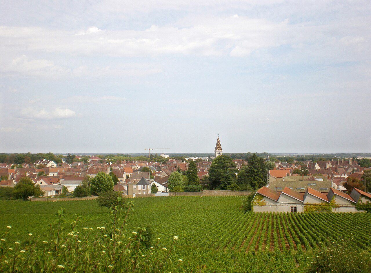 Balade Gourmande à Nuits-Saint-Georges à Nuits-Saint-Georges