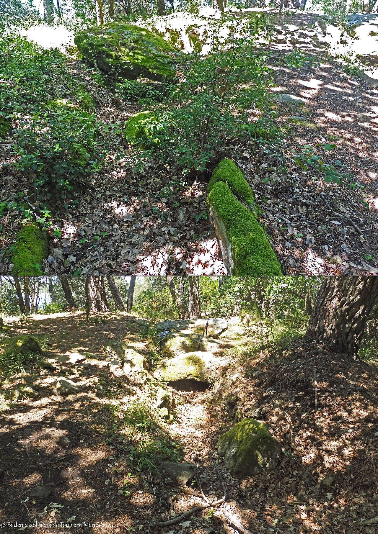 Bois de Toulvern à Baden