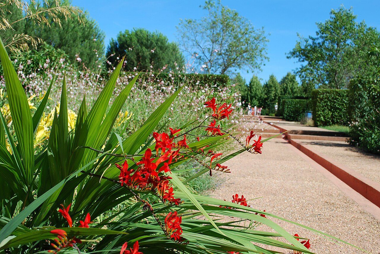 Les Jardins de Colette et son labyrinthe à Varetz