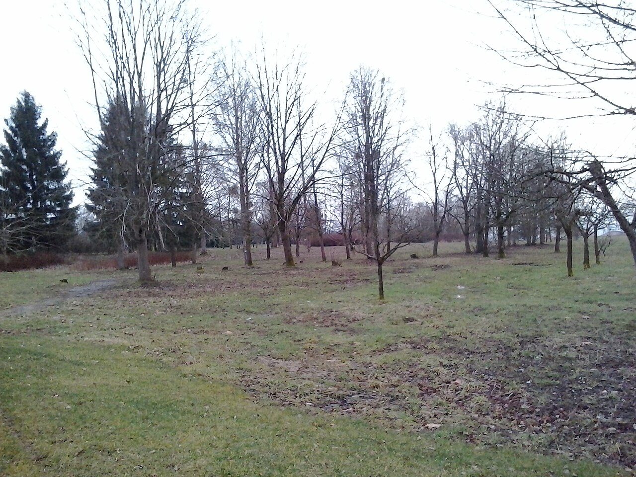 Arboretum de Ville-sur-Lumes à Ville-sur-Lumes