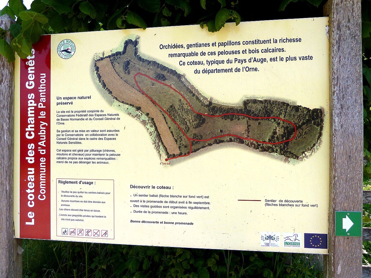 Le Coteau des Champs Genêts