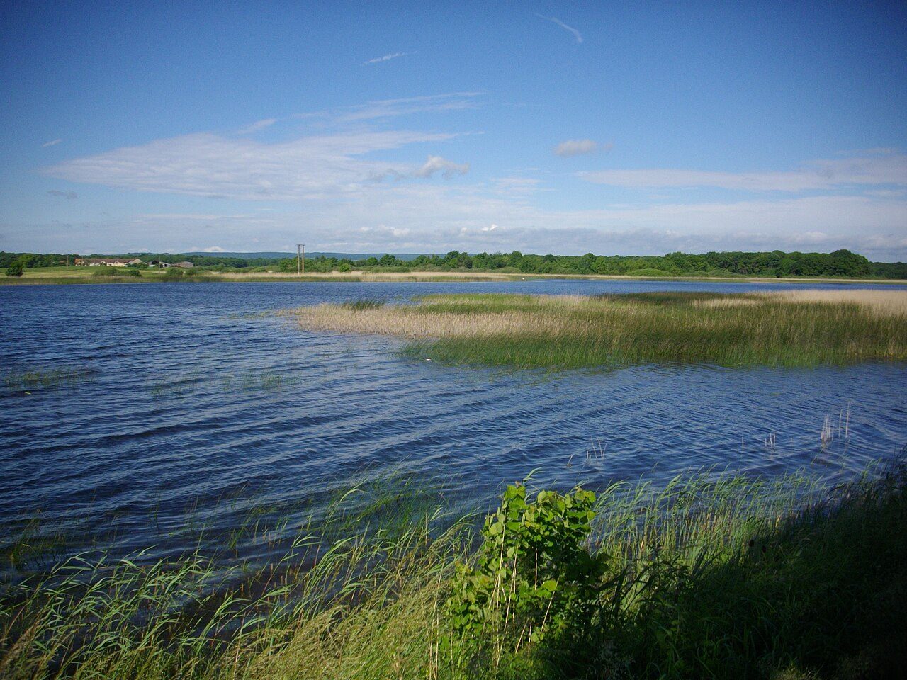 Réserve naturelle régionale de l'étang de Lachaussée
