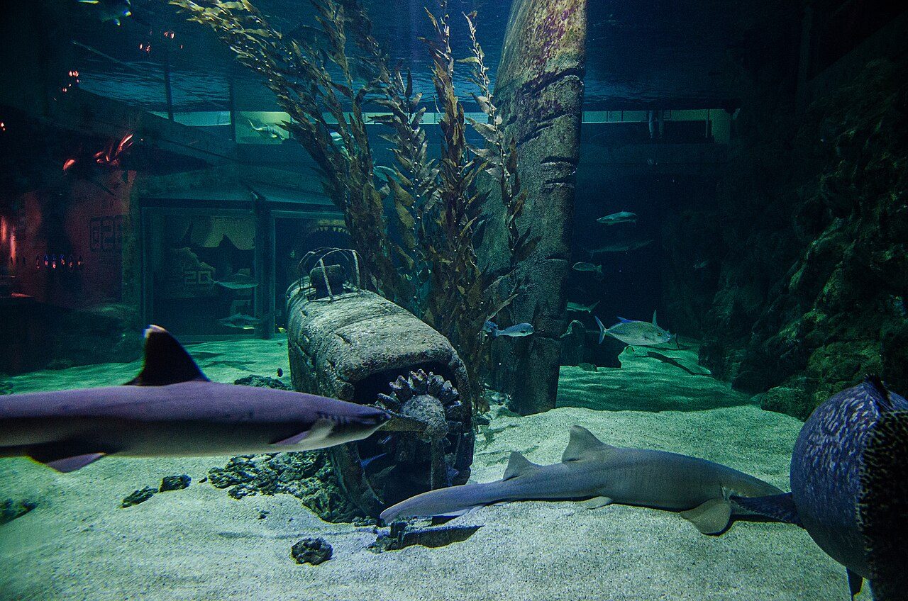 Seaquarium Institut Marin à Le Grau-du-Roi