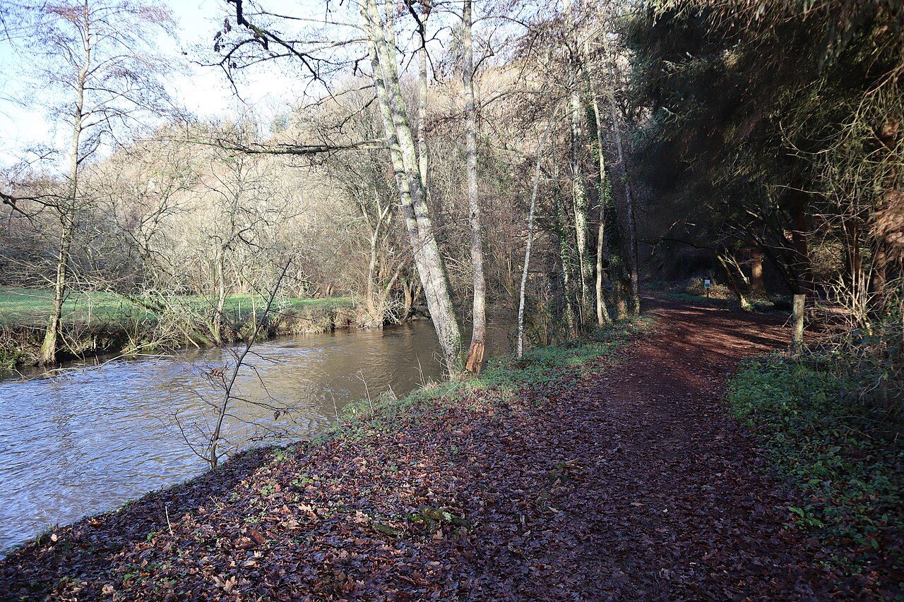La vallée du Couesnon à Mézières-sur-Couesnon