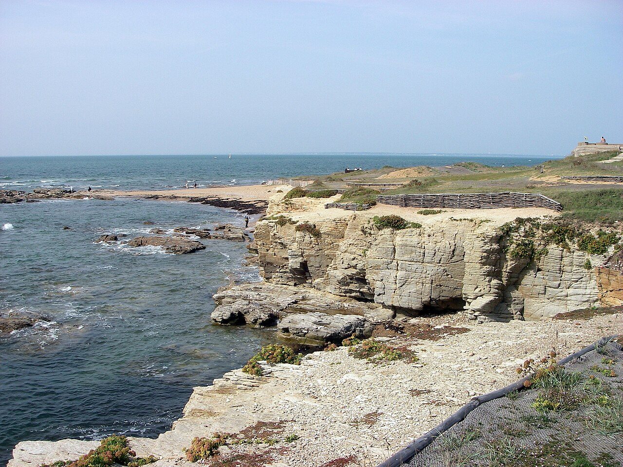 La Réserve Naturelle Régionale de la Pointe Saint-Gildas à Préfailles