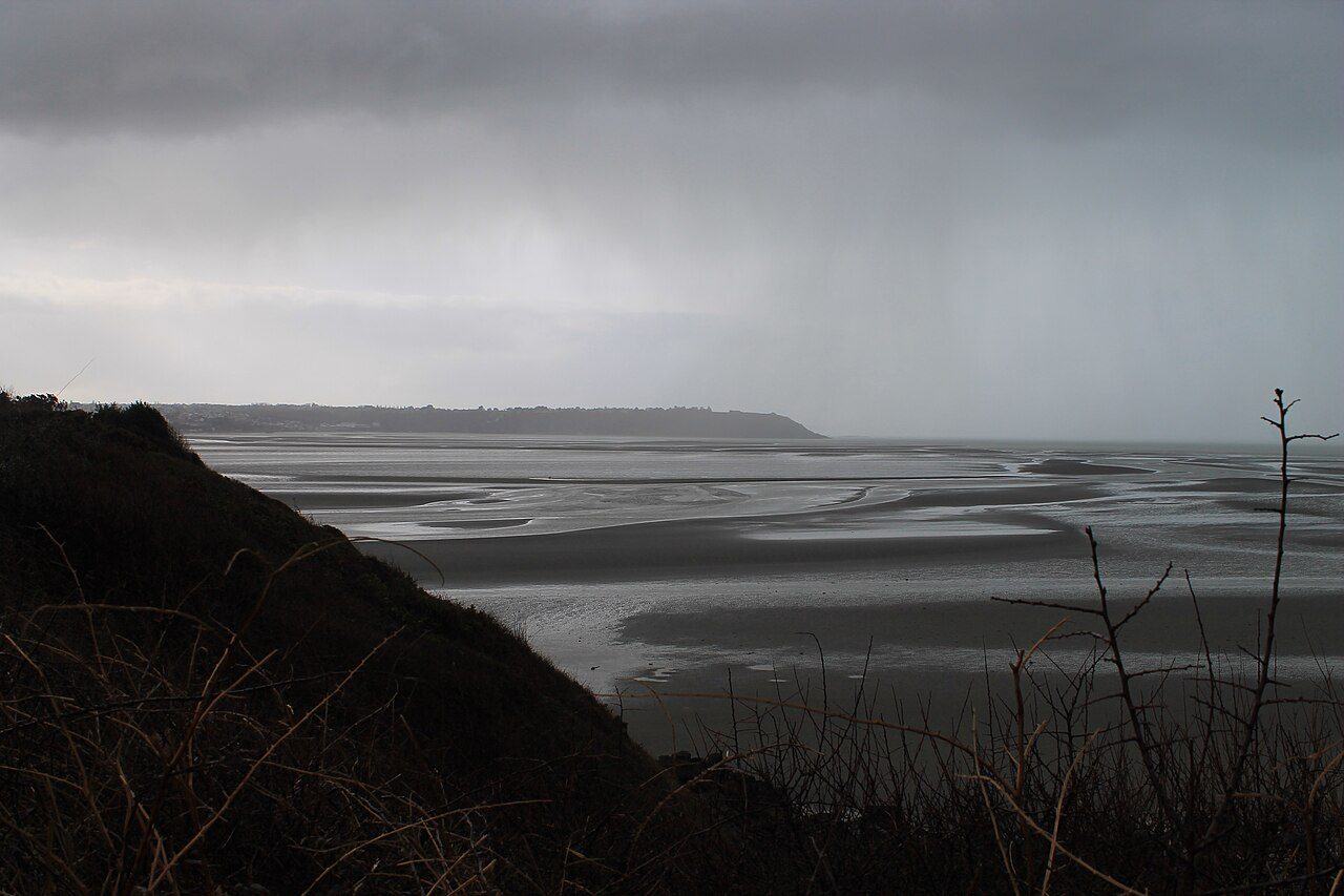 Réserve naturelle nationale de la Baie de Saint-Brieuc à Saint-Brieuc
