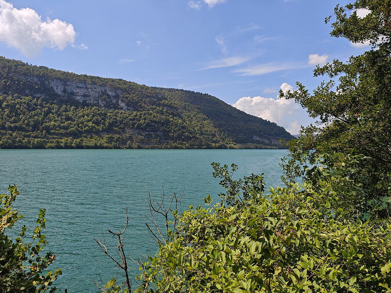 Baignade au lac de Nantua