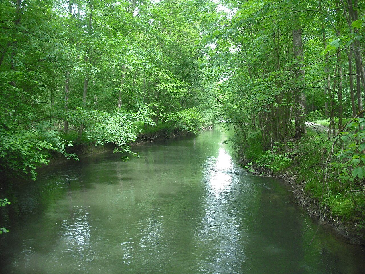 L'Ill*Wald, Réserve Naturelle Régionale du Ried de Sélestat