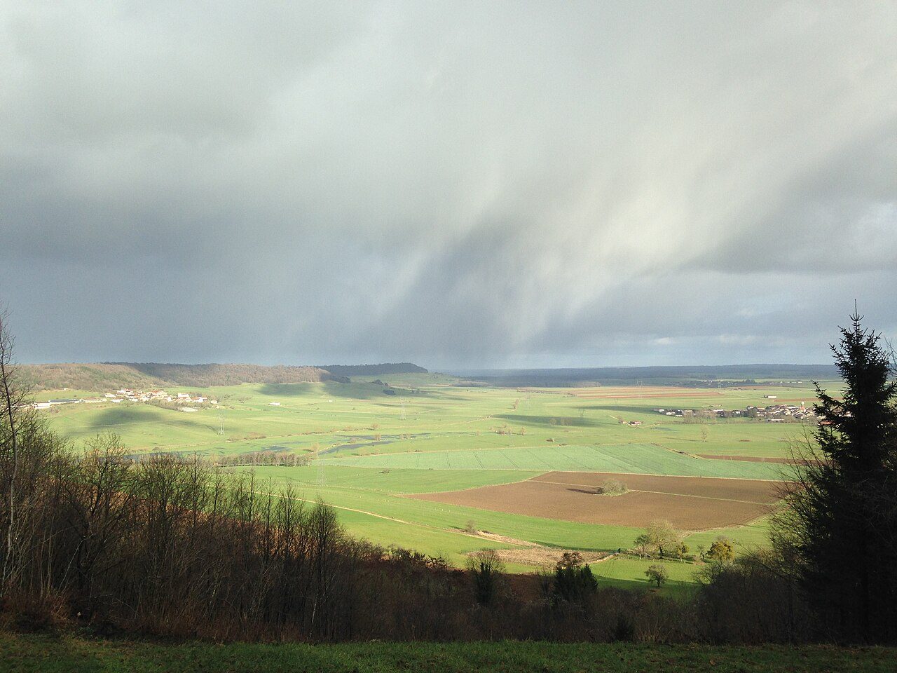 Le plateau de Beauregard à Maxey-sur-Meuse