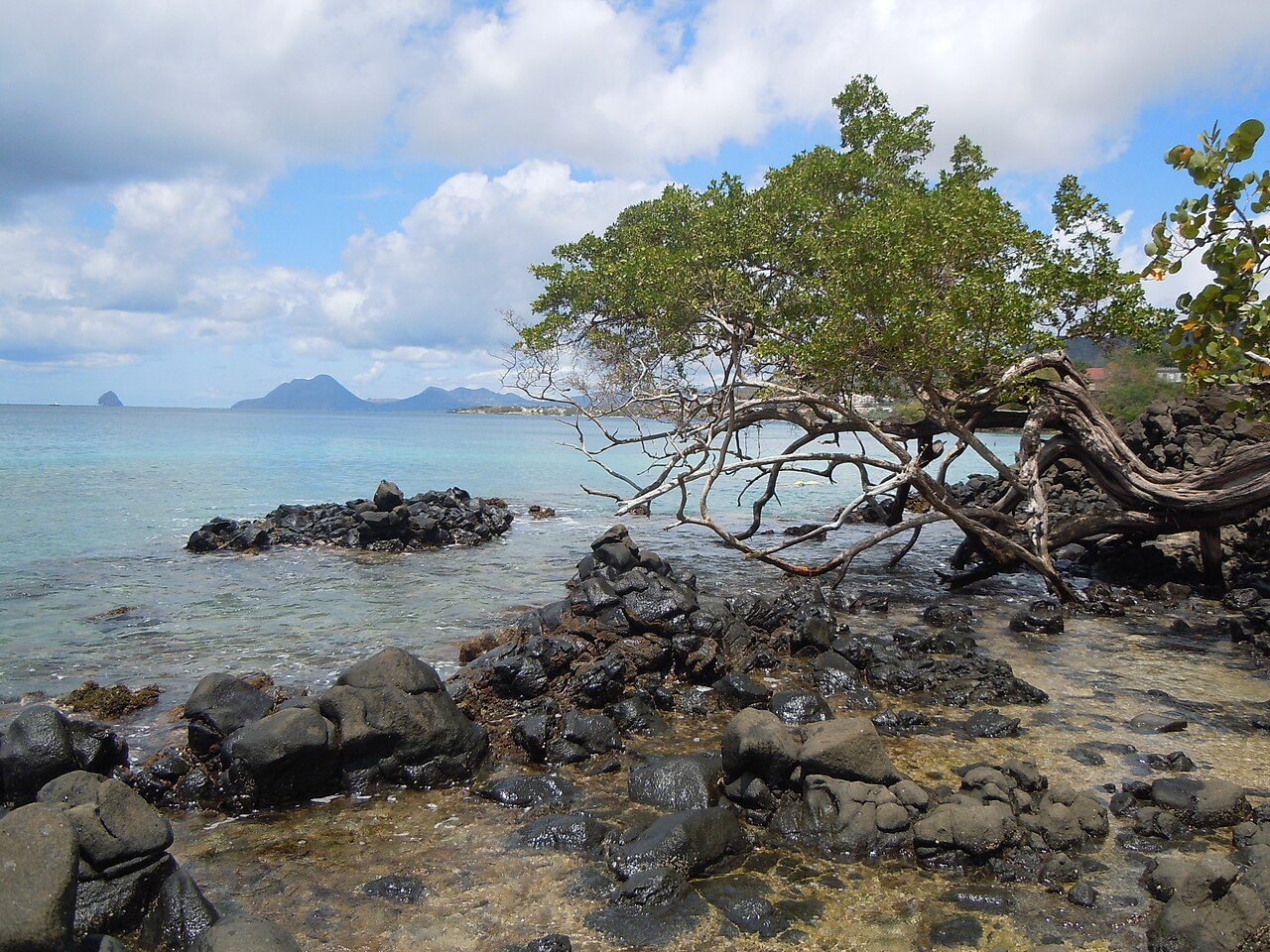 ANSE FIGUIER à Rivière-Pilote