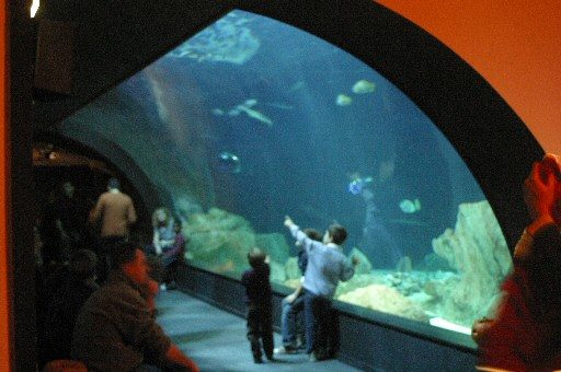 Aquarium de Paris à Paris