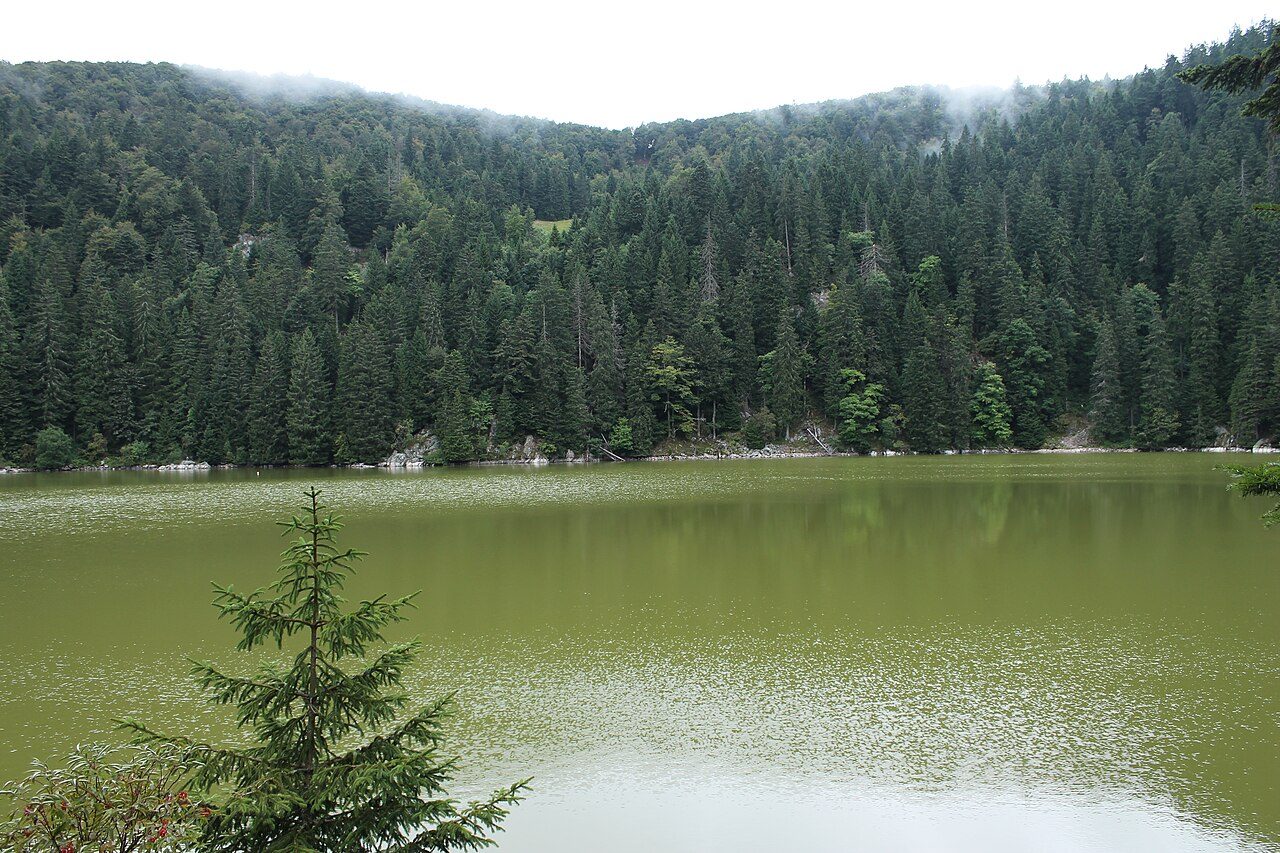 Lac Vert à Soultzeren