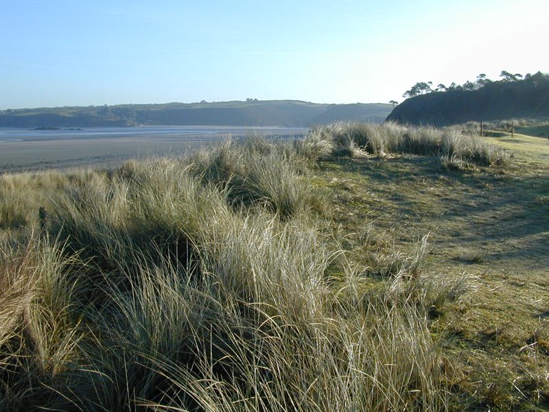 Dunes de Bon Abri à Hillion