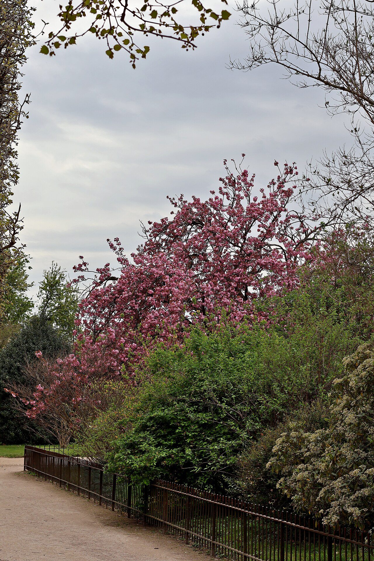 Jardin ethnobotanique