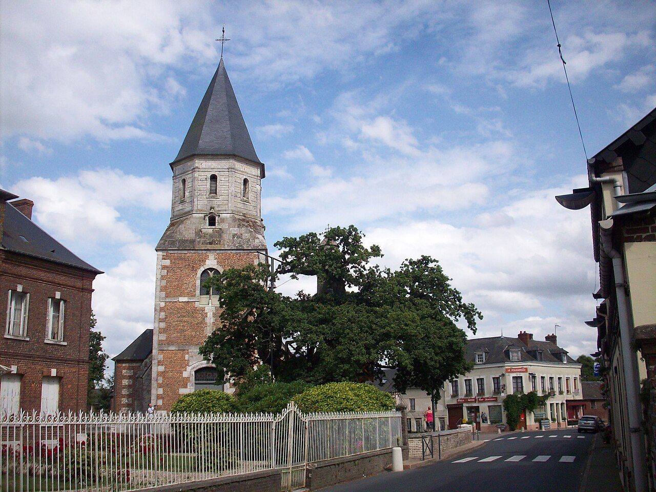 Le Chêne d'Allouville-Bellefosse à Allouville-Bellefosse