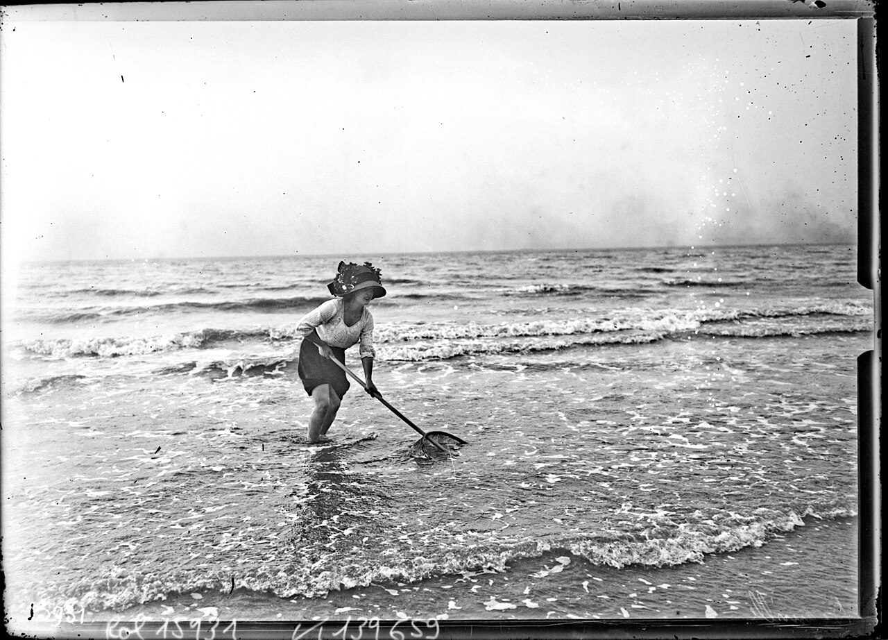 Deauville Sportive à Deauville