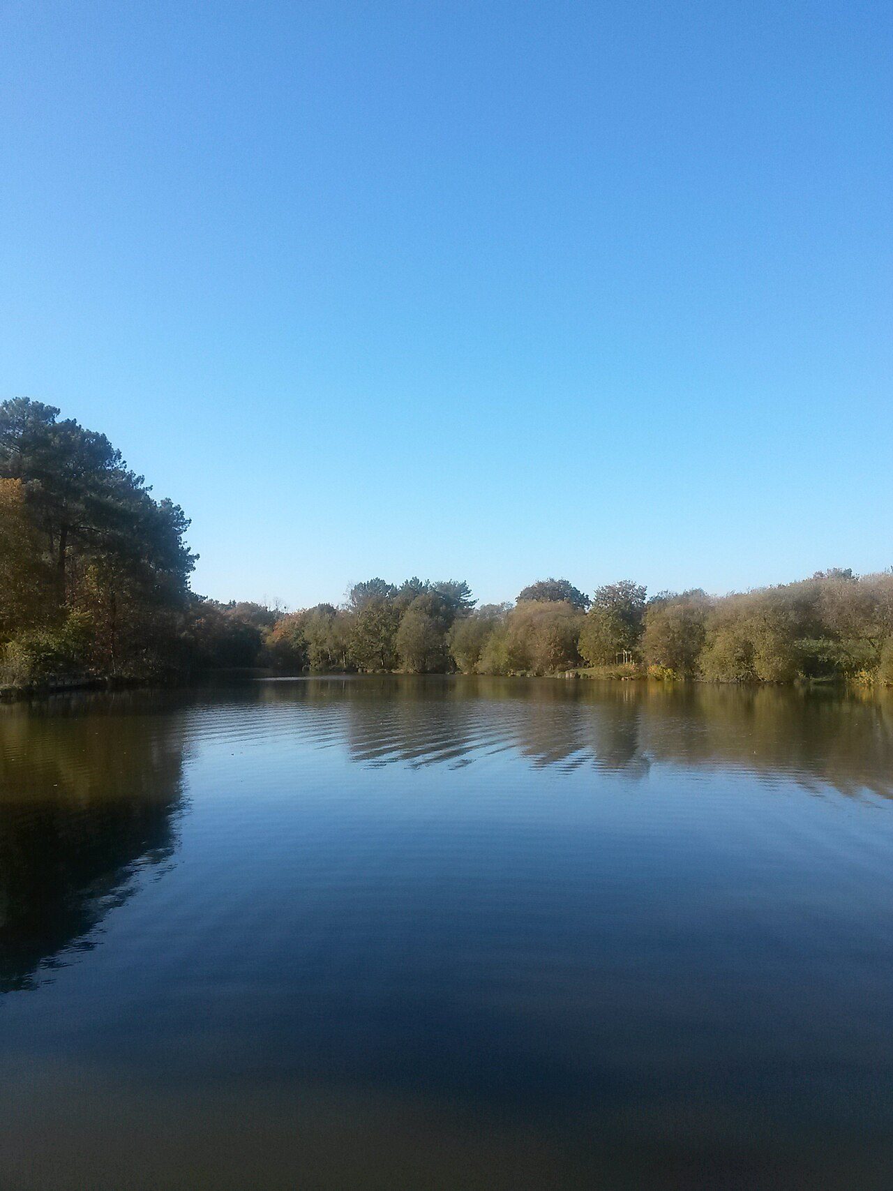 Etang de Trégu à Plélan-le-Grand