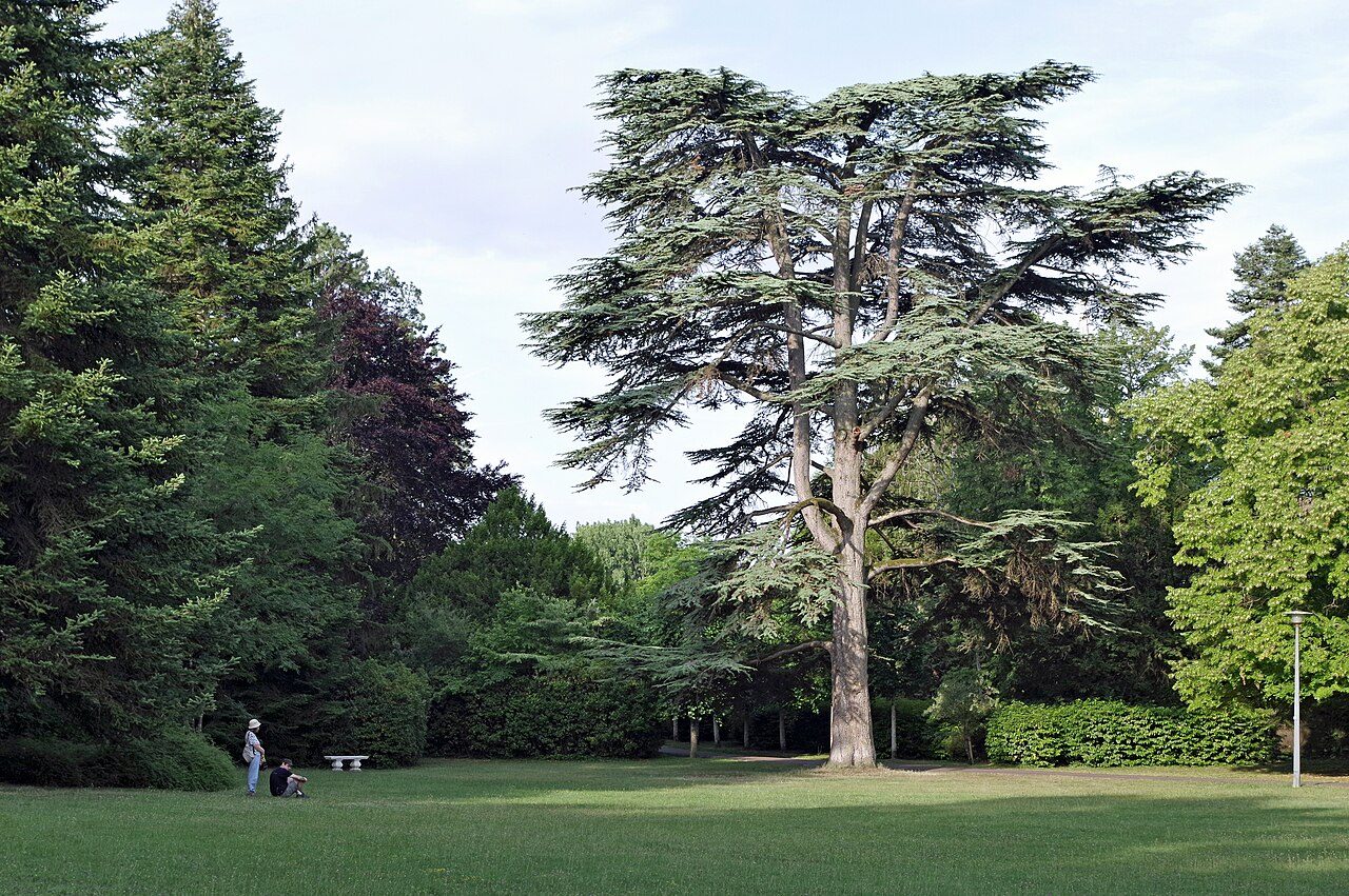 Parc du Vaulx Saint-Georges à Thésée