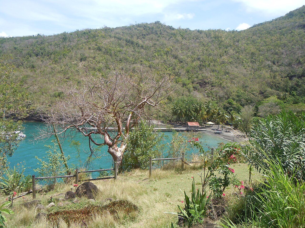 ANSE NOIRE à Les Anses-d'Arlet