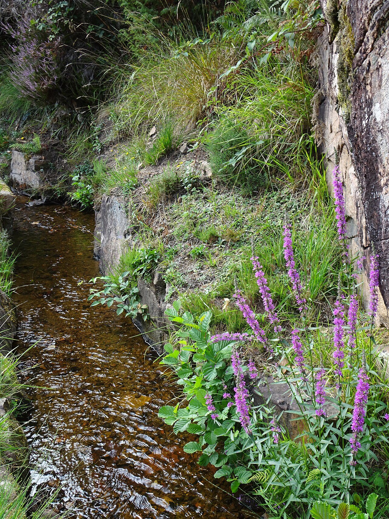 Canal des Moines à Valbonnais