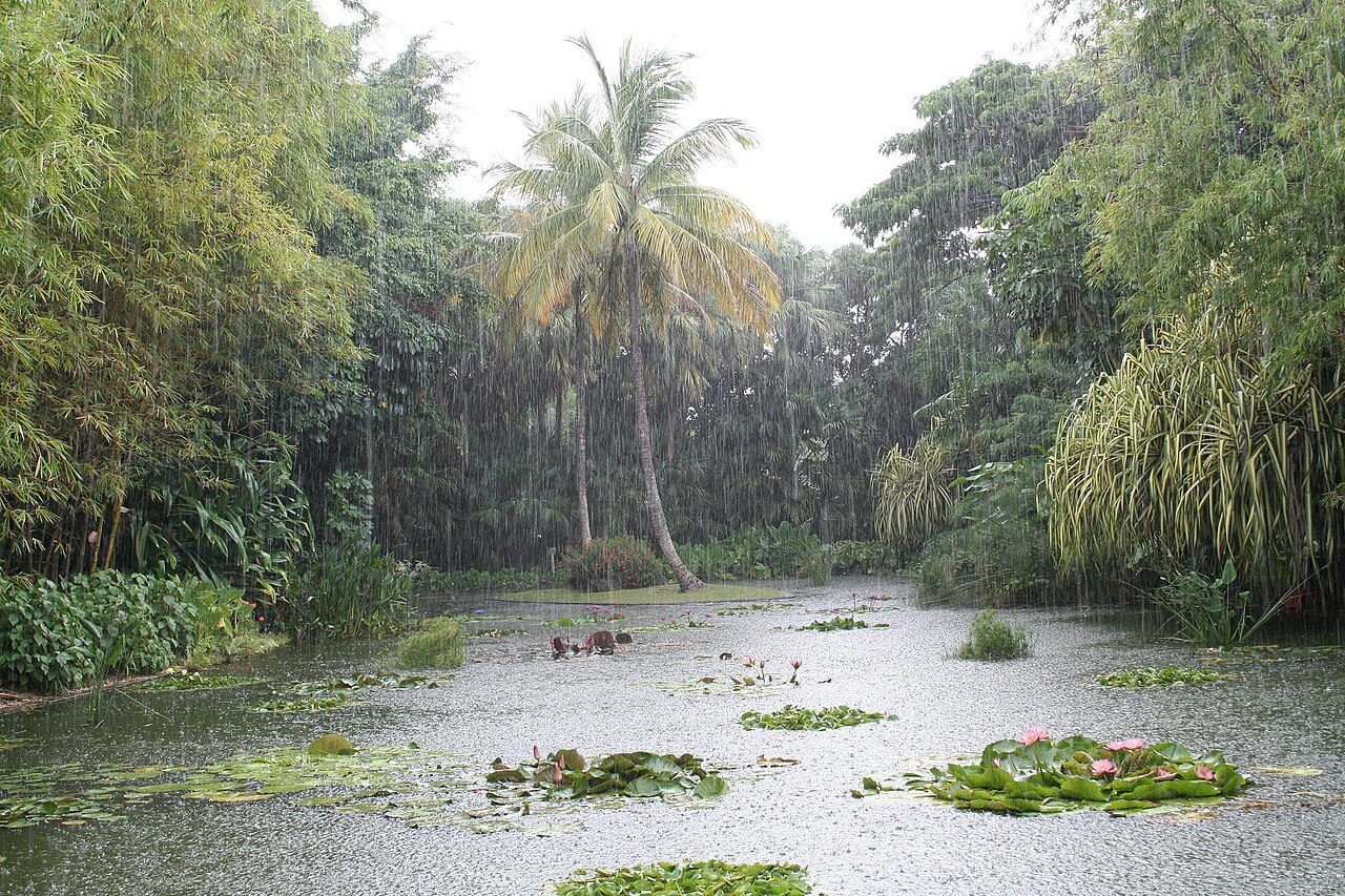 Jardin Botanique de Deshaies à Deshaies