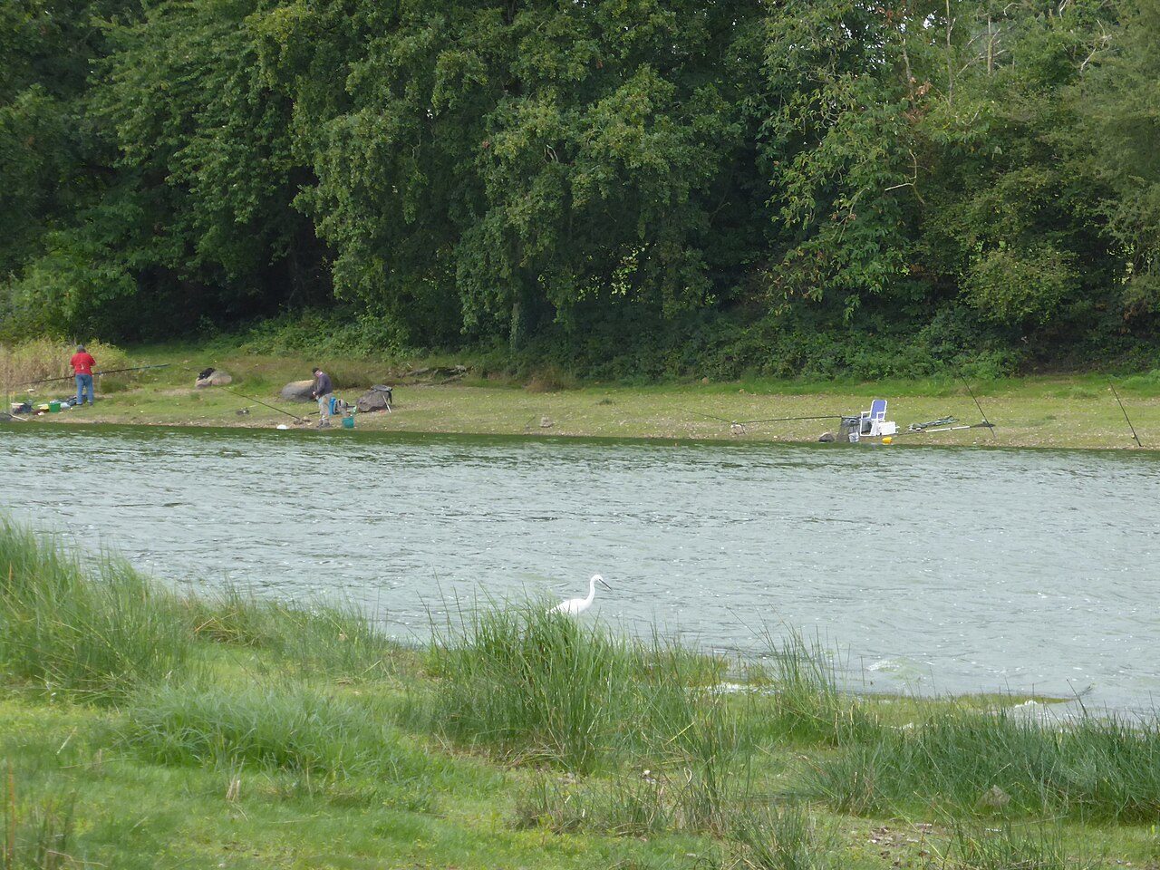L'étang de Châtillon-en-Vendelais à Châtillon-en-Vendelais