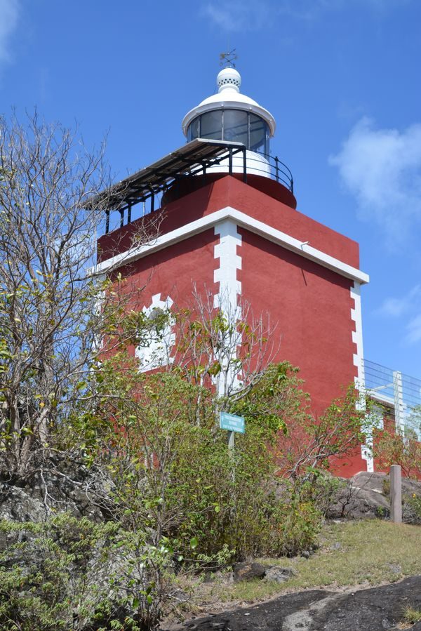 RESERVE NATURELLE DE LA CARAVELLE à La Trinité