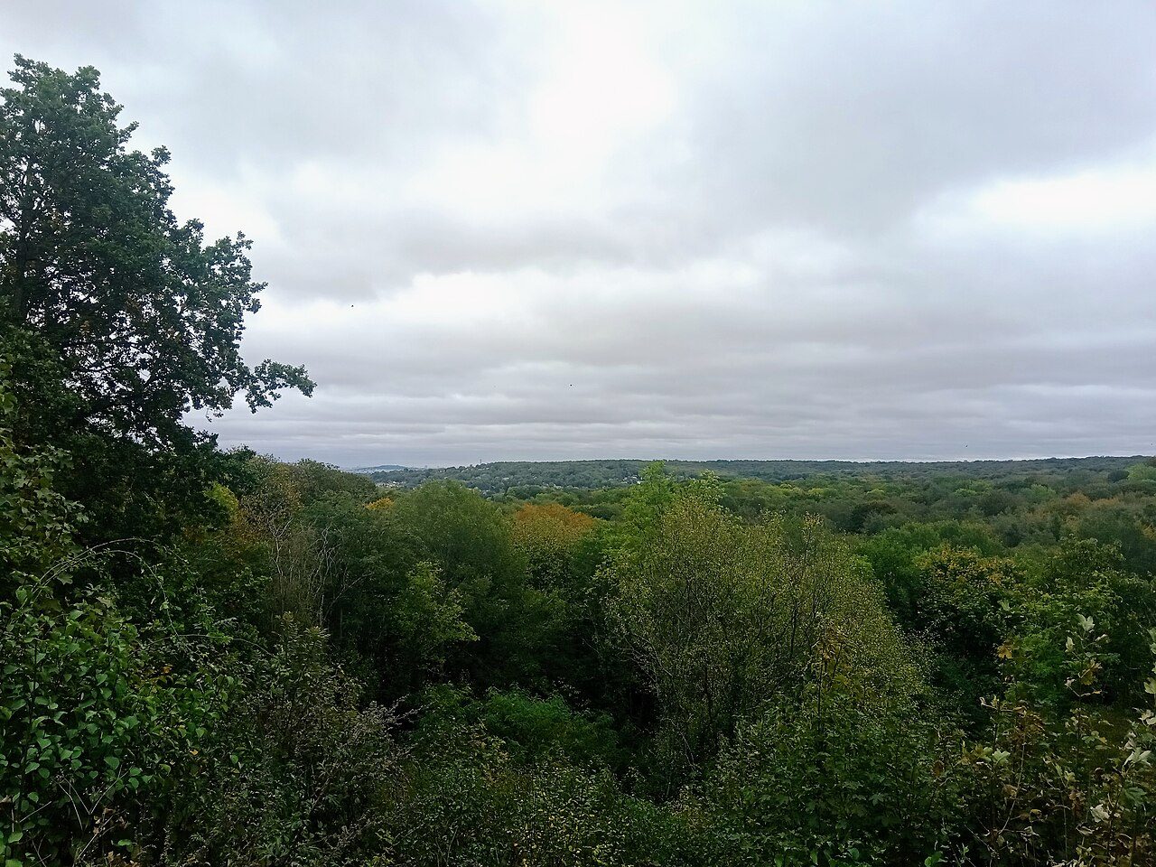 La forêt de Saint-Michel à Saint-Michel