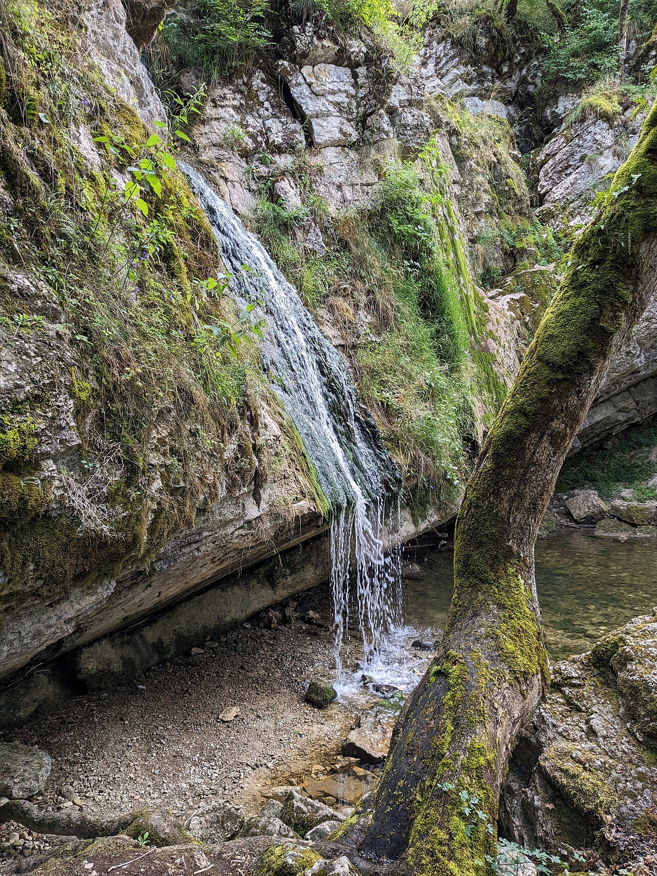 Cascade de Mélogne à Plateau d'Hauteville