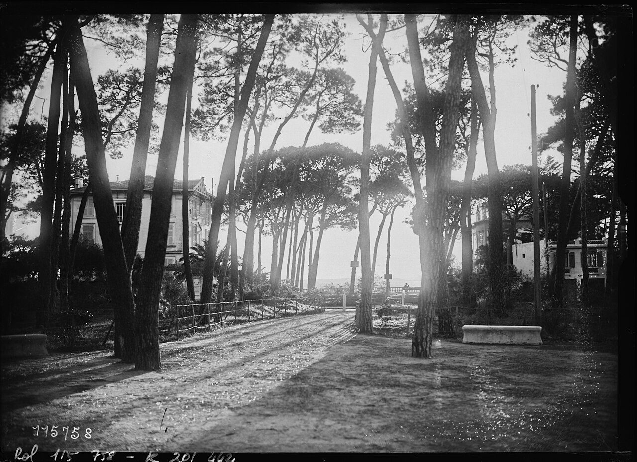Jardin de la Pinède