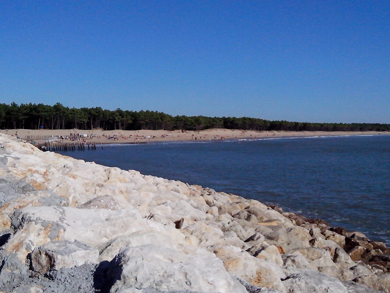 Plage des Pins de Cordouan à Les Mathes