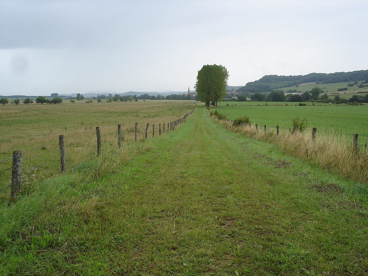 Bassigny