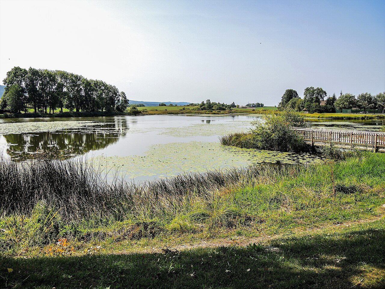 Étang de la rivière Drugeon