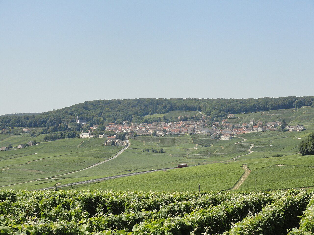 Le Chêne d'Hautvillers
