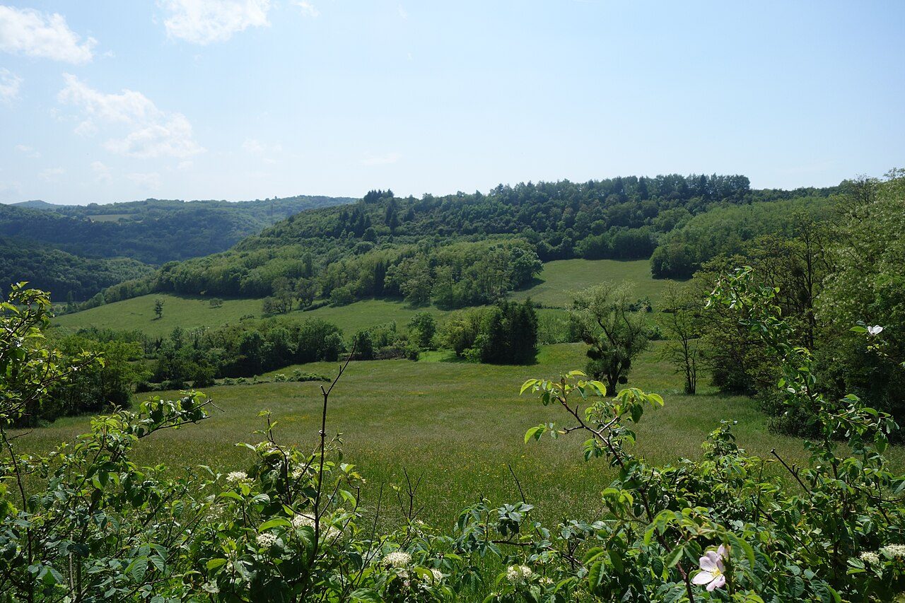 Réserve naturelle régionale de la Côte de Mancy
