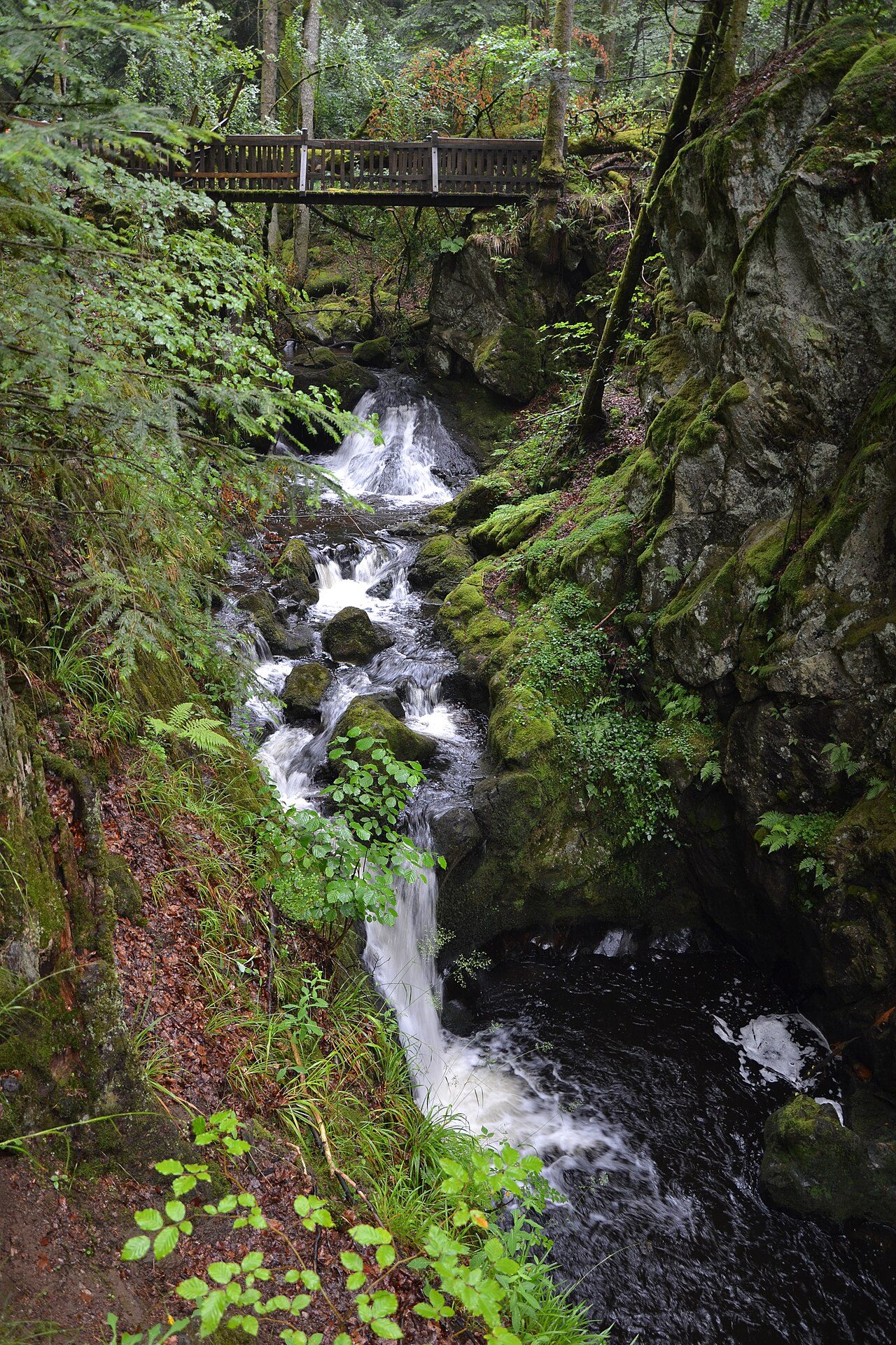 Cascade du Gehard à Le Val-d'Ajol