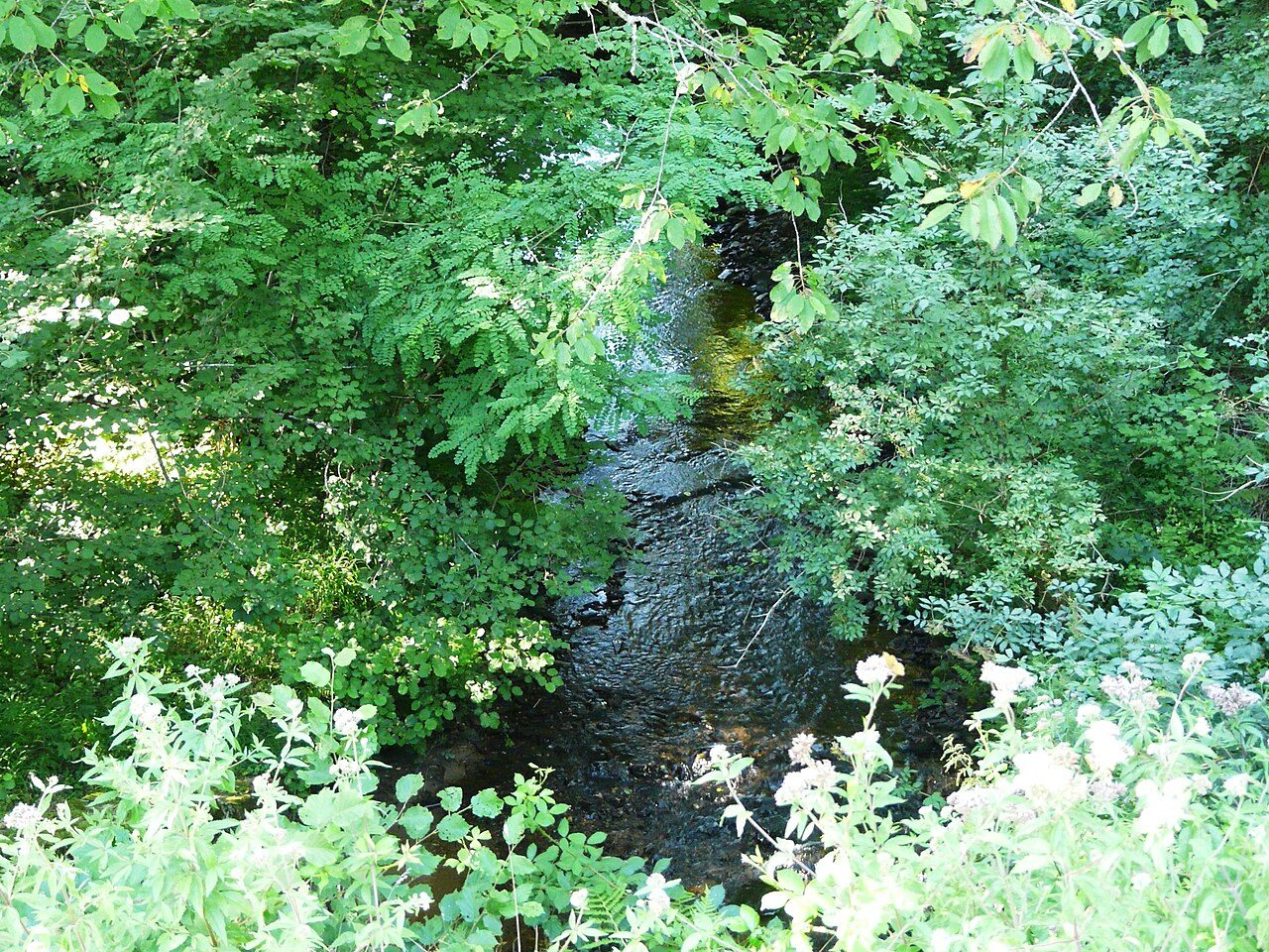 Arborétum des Pouyouleix à Saint-Jory-de-Chalais